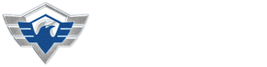 Cyber Security IPS logo